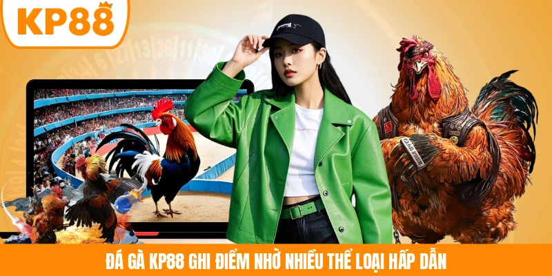 Đá gà KP88 ghi điểm nhờ nhiều thể loại hấp dẫn